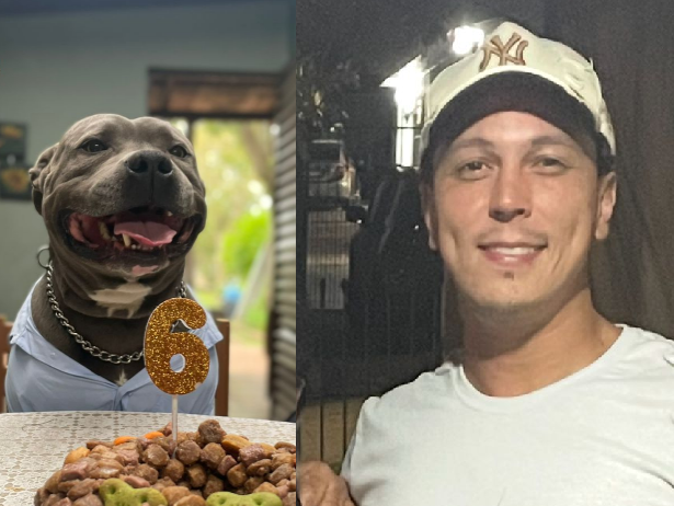 cachorro-e-homem-executados-em-acao-policial-curitiba