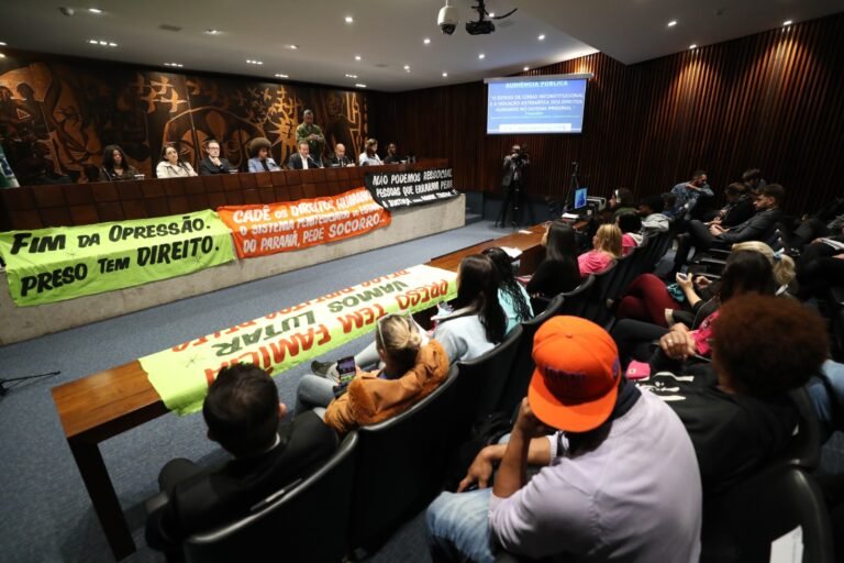 Audiência Pública O Estado de Coisas Inconstitucional e a Violação Sistemática dos Direitos Humanos